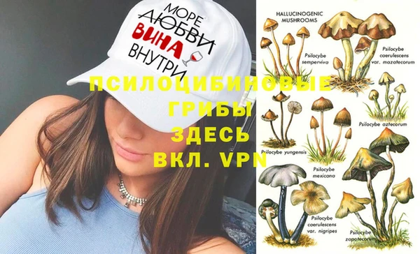 ALPHA-PVP Пролетарск