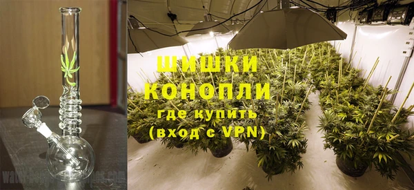 PSILOCYBIN Балахна