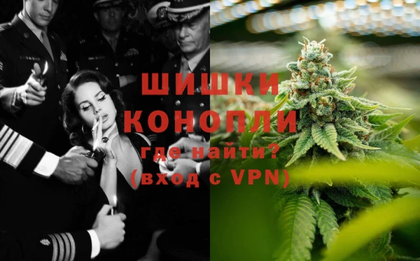 PSILOCYBIN Балахна