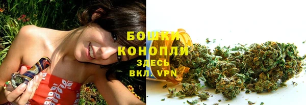 PSILOCYBIN Балахна